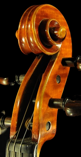 �o�C�I���� �R�j�A giovane �N�����i �C�^���A