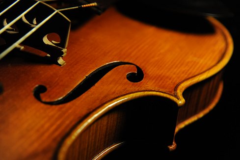 �o�C�I���� �R�j�A giovane �N�����i �C�^���A