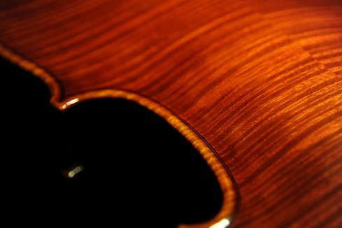 �o�C�I���� �C�^���A �N�����i