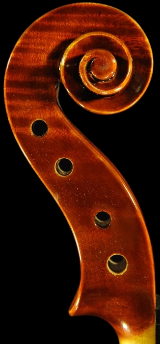 �o�C�I���� �f�B�r�A�b�W�� �C�^���A