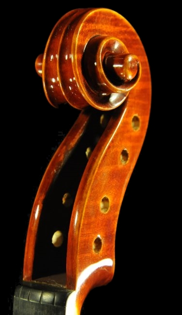 �o�C�I���� �f�B�r�A�b�W�� �C�^���A