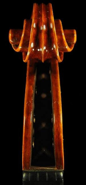 �o�C�I���� �C�^���A �N�����i