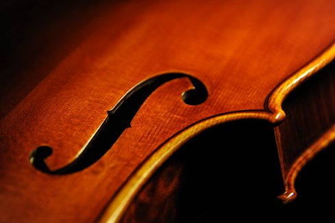 �o�C�I���� �C�^���A �N�����i