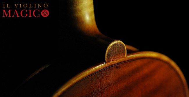 Andrea Schudtz ���@�C�I���� �N�����i �}�W�R