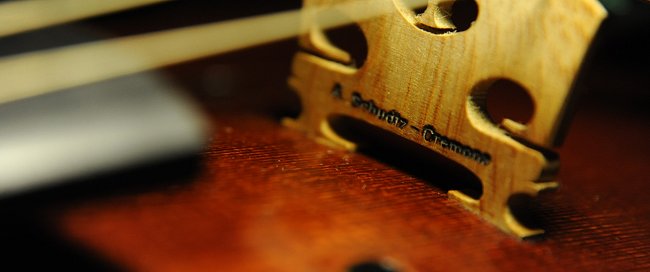 ���@�C�I���� �V���b�c �A���h���A �C�^���A