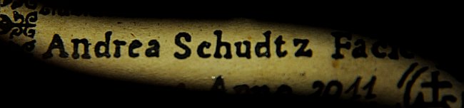 Andrea Schudtz ���@�C�I���� �N�����i �}�W�R