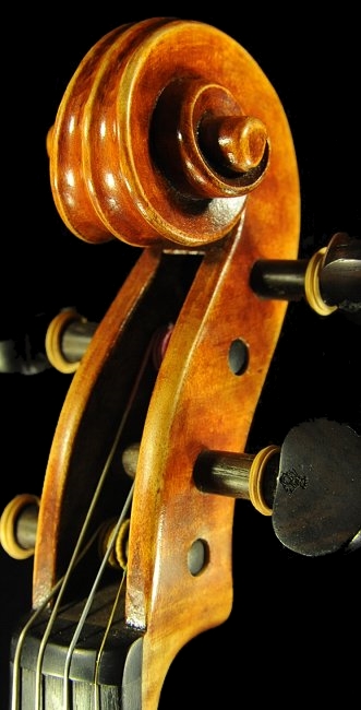 �o�C�I���� �V���b�c �A���h���A �C�^���A