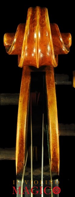 Andrea Schudtz Violin �N�����i MAGICO