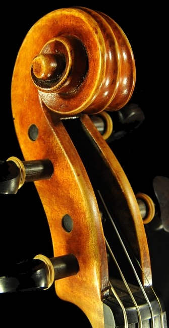 Andrea Schudtz ���@�C�I���� �N�����i �}�W�R