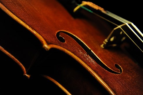 Andrea Schudtz Violin �N�����i MAGICO