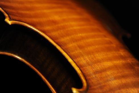 MAGICO Lapo Vettori Violin イタリア