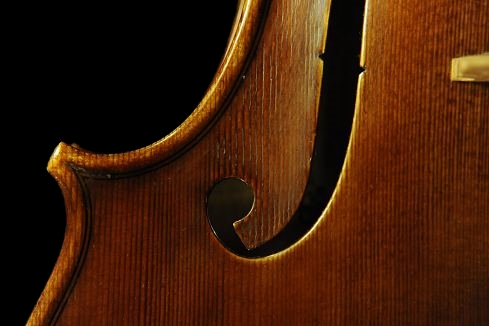 マジコ ヴィオラ ラポ ヴェットーリ イタリア