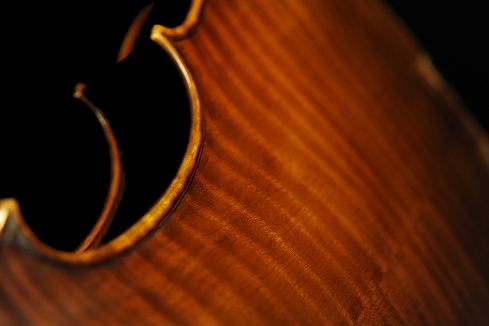 マジコ ヴィオラ ラポ ヴェットーリ イタリア