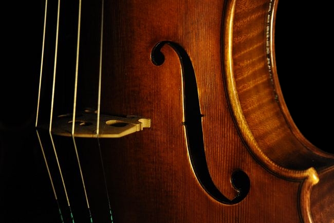 マジコ ヴィオラ ラポ ヴェットーリ イタリア