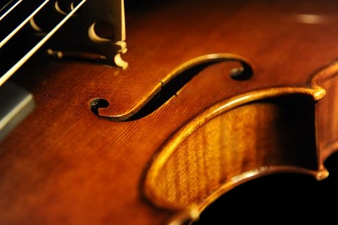 ヴィオラ ラポ ヴェットーリ イタリア