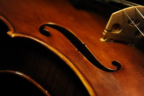 Lapo Vettori Violin イタリア