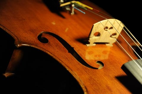 �R�����h�D�b�� ���B�I�� �}�W�R �C�^���A