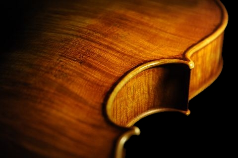 �R�����h�D�b�� ���B�I�� �}�W�R �C�^���A