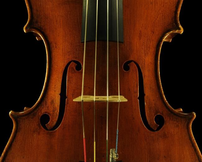 �R�����h�D�b�� ���B�I�� �}�W�R �C�^���A