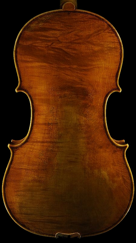 �R�����h�D�b�� ���B�I�� �}�W�R �C�^���A