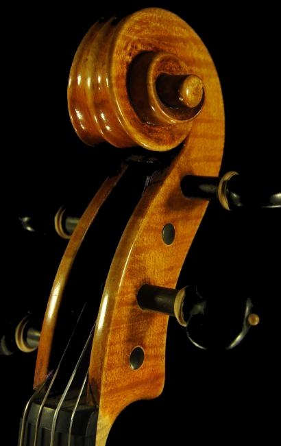 �r�I�� Commendulli �N�����i �C�^���A