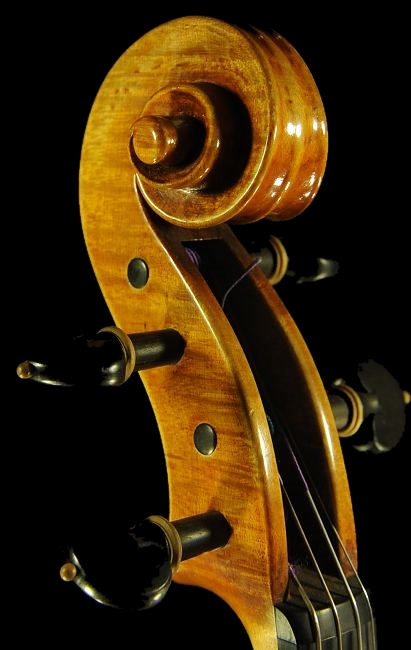 �R�����h�D�b�� ���B�I�� �}�W�R �C�^���A