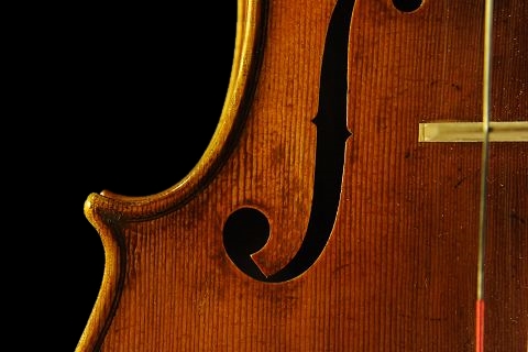 �r�I�� Commendulli �N�����i �C�^���A