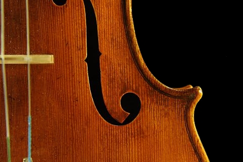 �R�����h�D�b�� ���B�I�� �}�W�R �C�^���A