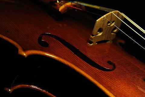 shuichi takahashi cremona italy violin