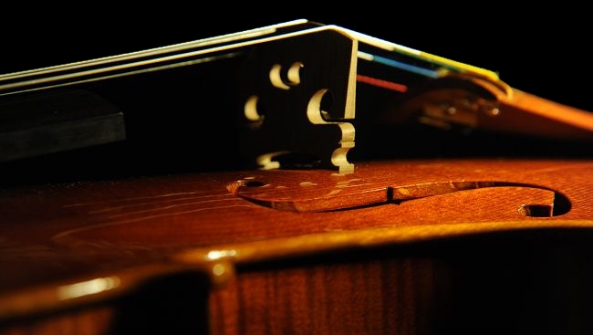 MAGICO cremona italy violin