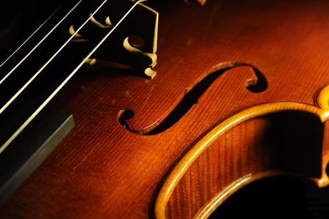 �����C�� �N�����i �o�C�I���� �C�^���A