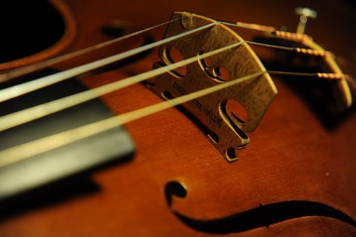 Diego Violino Cremona Italia ���@�C�I����