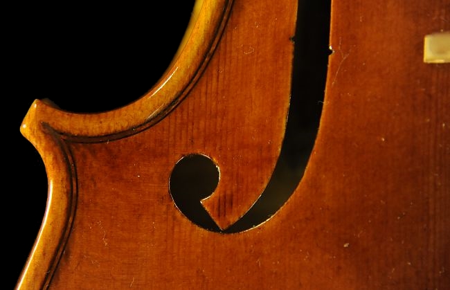 Diego Violino Cremona Italia ���@�C�I����