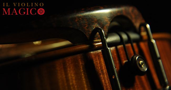 �f�B�G�S �f�� ���@�b�� �}�W�R �o�C�I���� �C�^���A