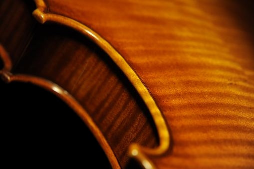 �f�B�G�S �f�� ���@�b�� �o�C�I���� �C�^���A