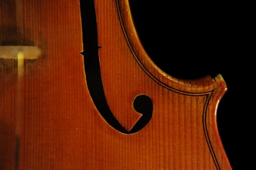 Daoglio Mario Violin ITALY �}�W�R