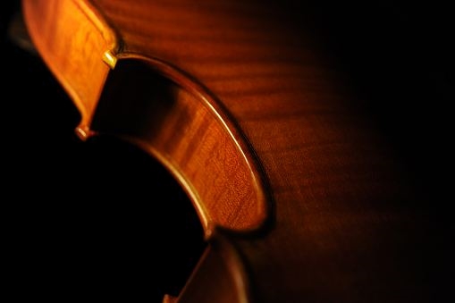 �_�I���I �o�C�I���� �C�^���A �}�W�R