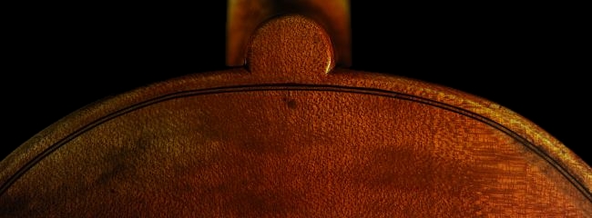 �_�I���I �o�C�I���� �C�^���A �}�W�R