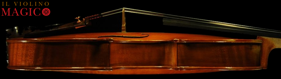 �_�I���I �o�C�I���� �}�W�R