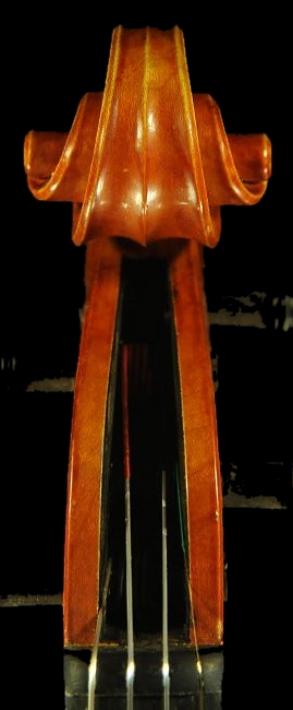 �}���I �_�I���I �o�C�I���� �C�^���A