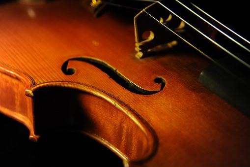 Daoglio Mario Violin ITALY �}�W�R