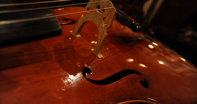 Violino MAGICO