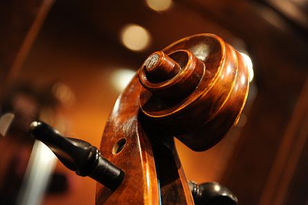 Cello Anton Kreuzinger