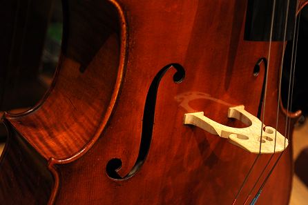 Cello Anton Kreuzinger