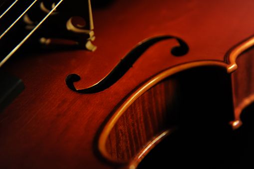 �o�C�I���� �O���U���X �N�����i �C�^���A