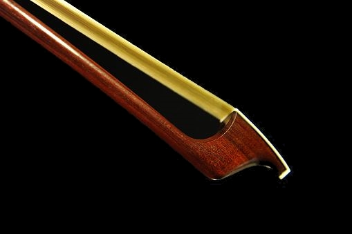 �M���[�� �| Cello