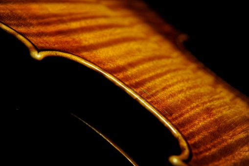 �o�C�I���� �X�g���f�B���@�� �}�W�R