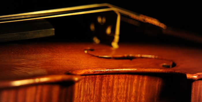 Viola Cremona ITALY MAGICO