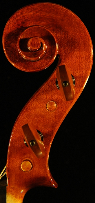 Pica Viola Cremona ITALY MAGICO