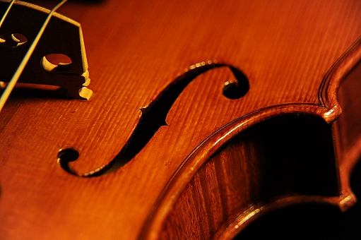 ���B�I�� �s�J �}�W�R �N�����i �C�^���A